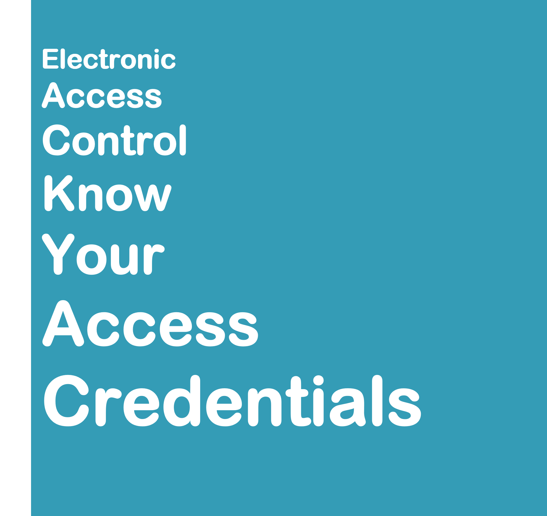 What type of access credential should I use to secure my business?